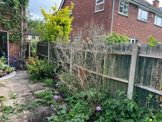 Before photo - old fencing in Headington